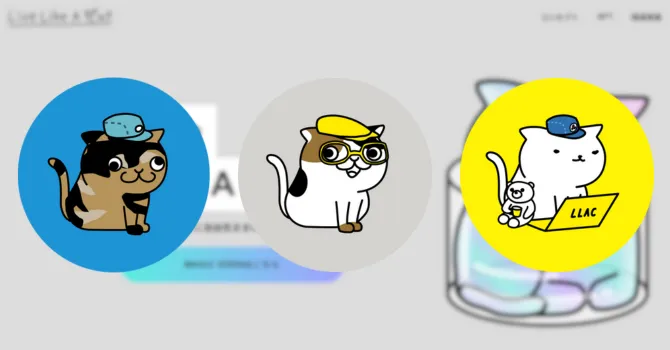 『Live Like A Cat (LLAC)』の主要メンバー３人