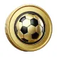 GOAL TOKEN