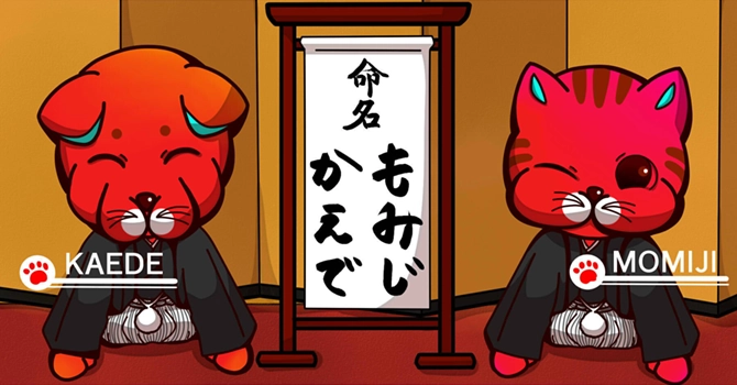 名前は投票で「かえで」「もみじ」に決定