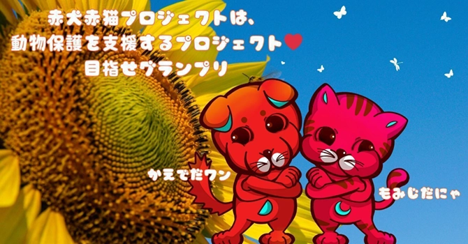 ミームトークンのキャラクター「赤犬赤猫」について