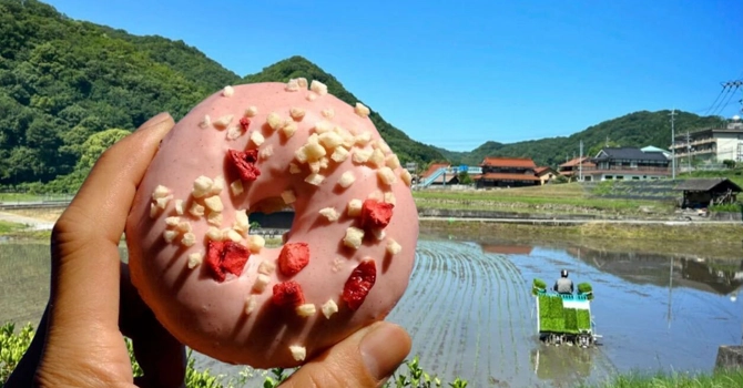 プロジェクトの特徴