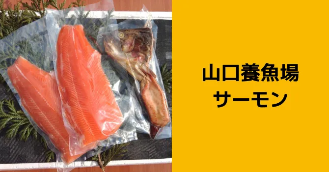 山口養魚場サーモン
