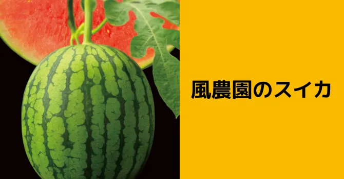 風農園のスイカ
