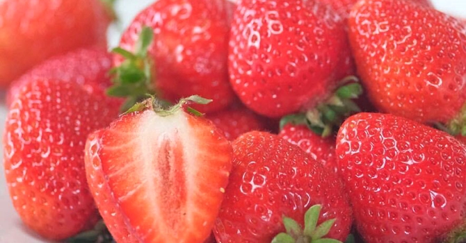 プロジェクトの特徴