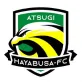 厚木はやぶさFC