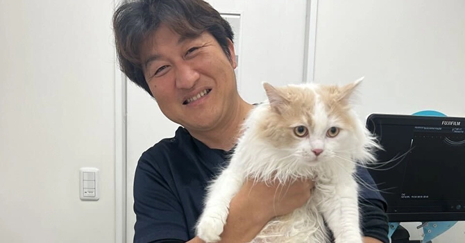 『獣医させっちトークン@猫FIP獣医師 佐瀬興洋』とはFIP治療啓蒙プロジェクト