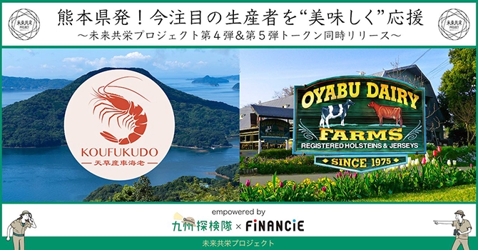 ファンディング実績
